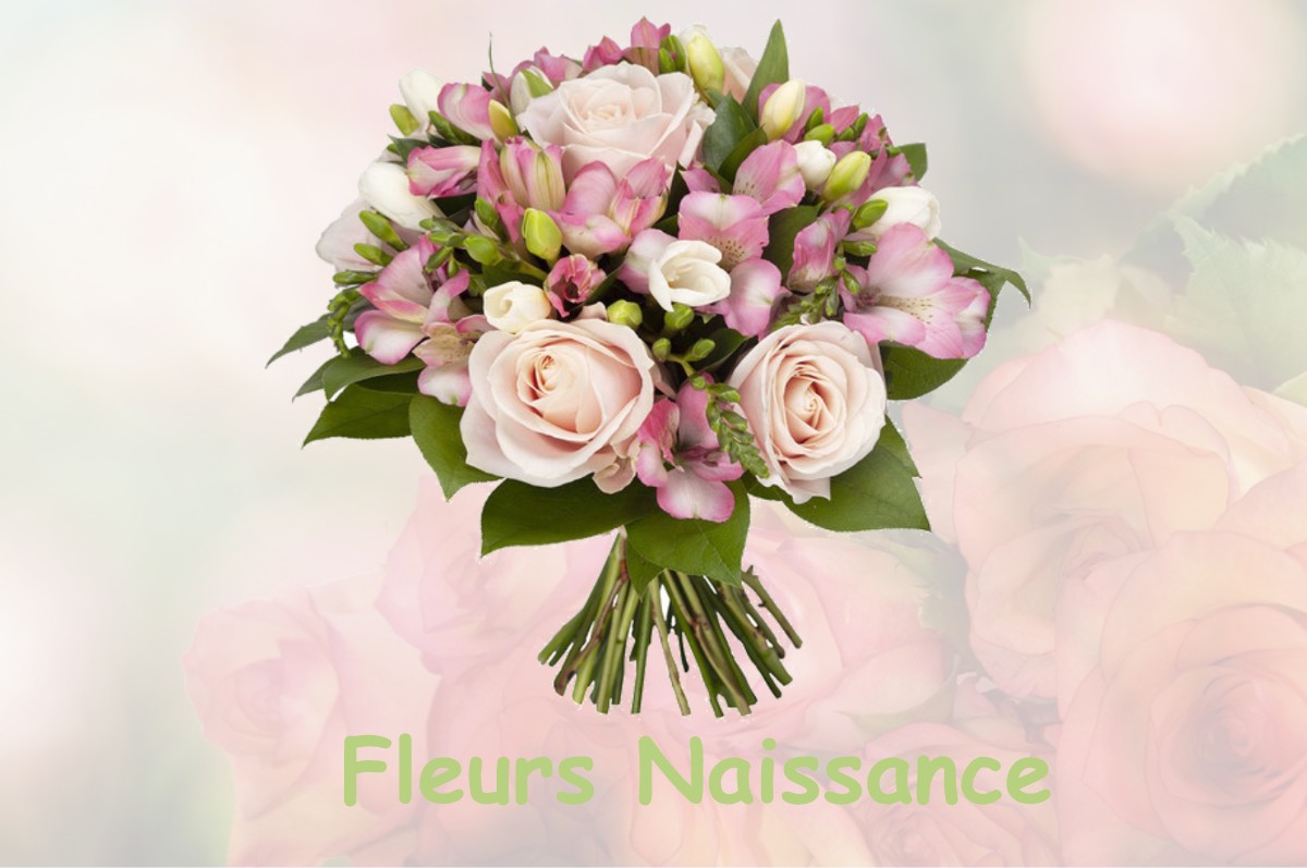 fleurs naissance BELLEVUE-LA-MONTAGNE