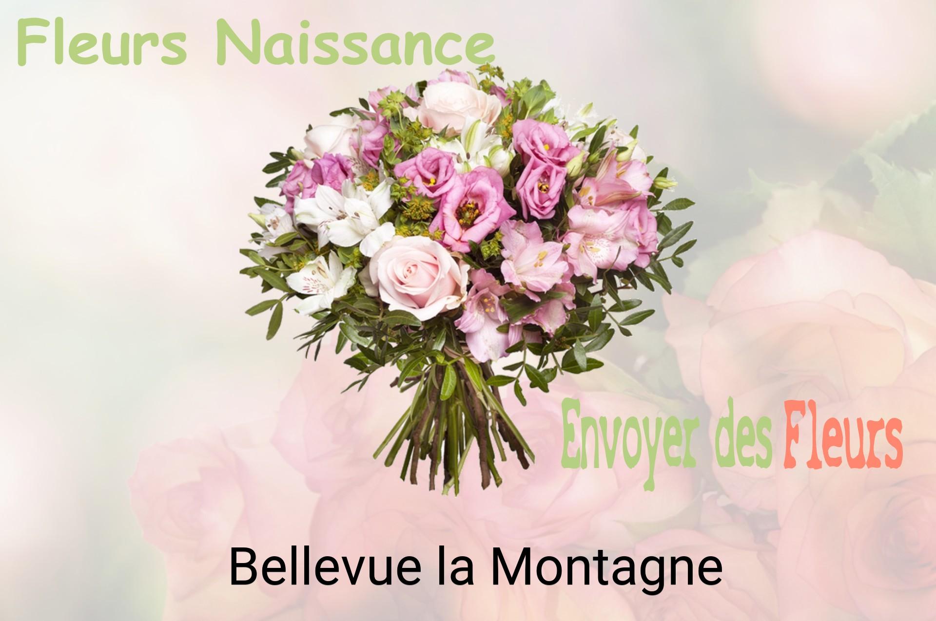 Bouquet de fleurs de naissance livré à Bellevue-la-Montagne